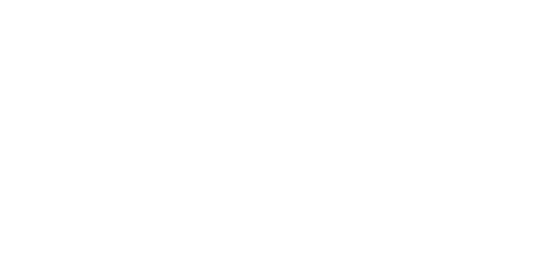 Lumi Verbier